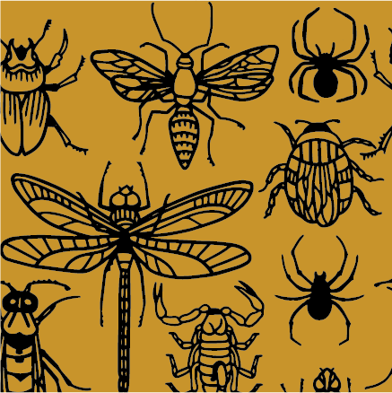 PREORDER Creepy Crawlies Crew Socks