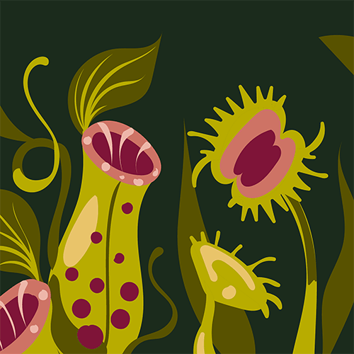 Pitcher Plant Crew Socks - FootClothes