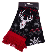 Load image into Gallery viewer, LIMITED Beelzebuck Unholy Holiday Scarf - FootClothes
