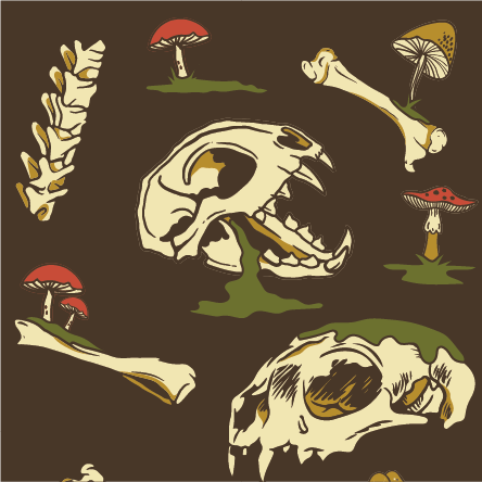 Mossuary Ankle Socks - FootClothes