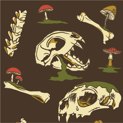 Mossuary Ankle Socks - FootClothes