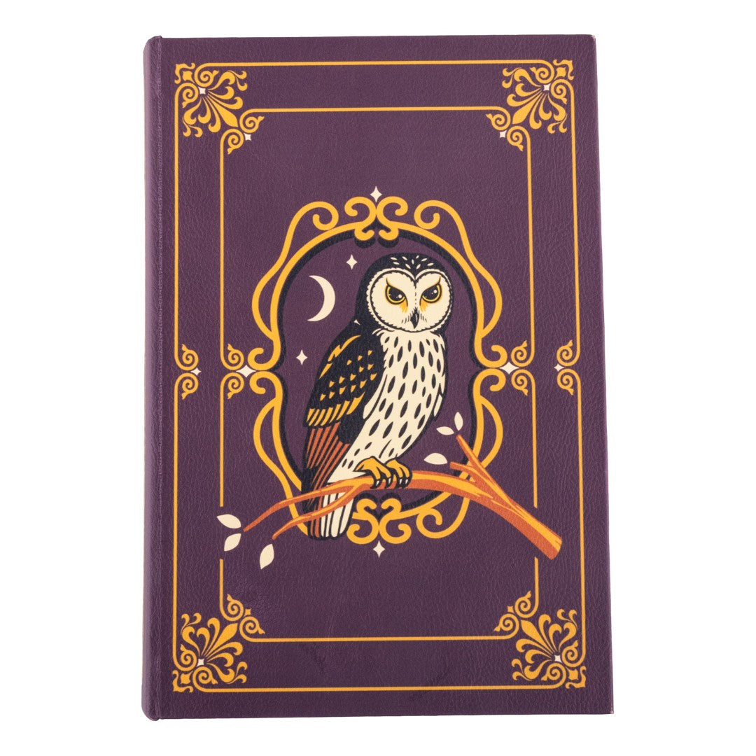 LIMITED Supervisor Owlfred's Secret Book Box