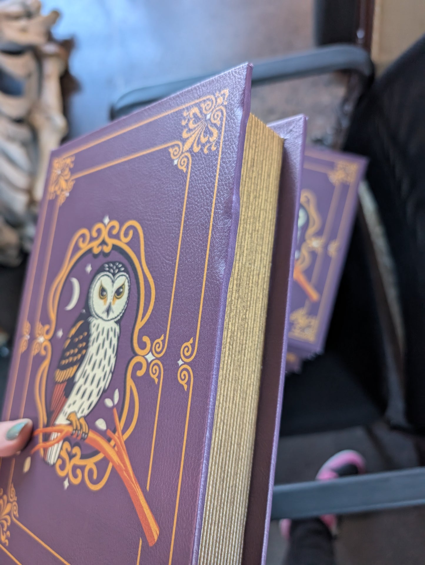 IMPERFECT Supervisor Owlfred's Secret Book Box