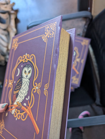 IMPERFECT Supervisor Owlfred's Secret Book Box