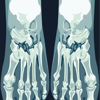 Skeletoes X-ray Crew Socks
